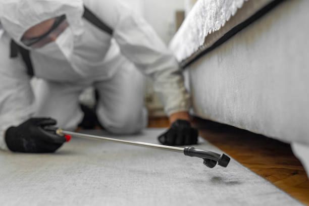 Professional Termite Control technician working in Atlantis, FL